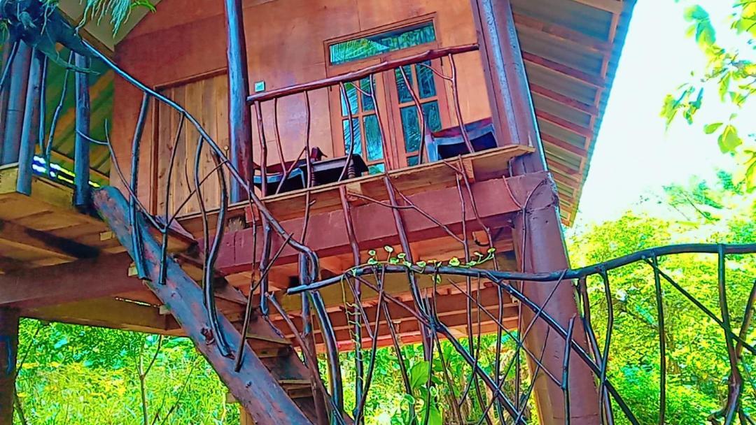 Hotel Sigiri Aliya Tree House à Sigirîya Extérieur photo