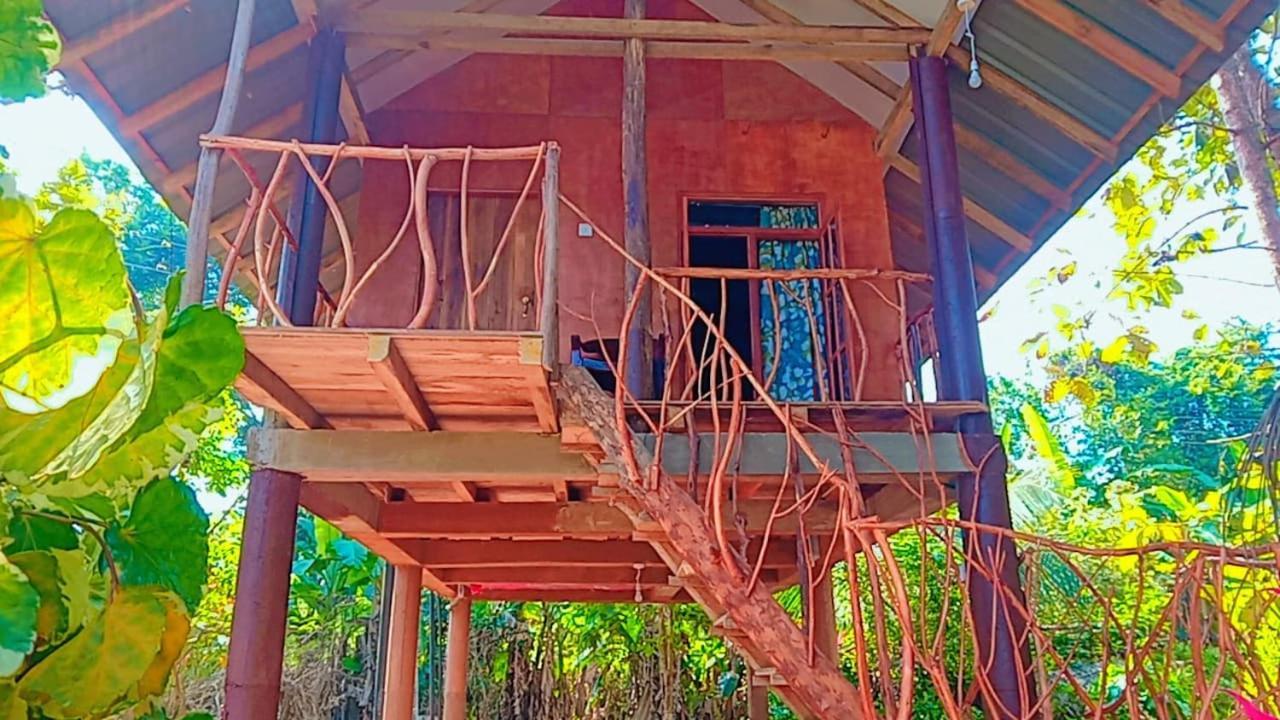 Hotel Sigiri Aliya Tree House à Sigirîya Extérieur photo