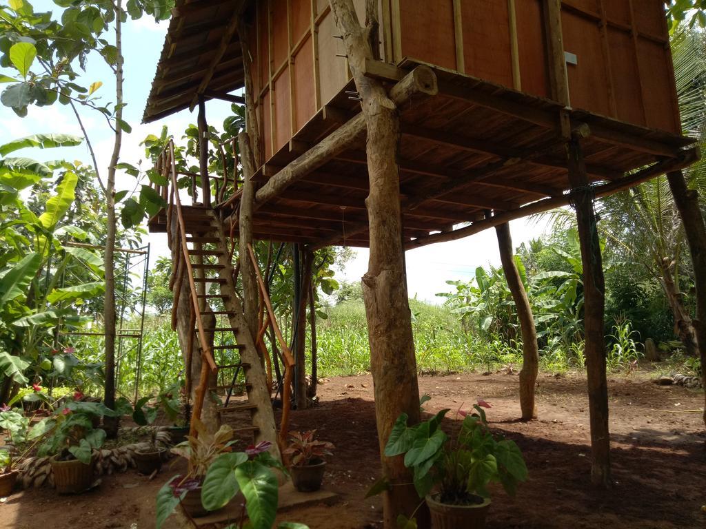 Hotel Sigiri Aliya Tree House à Sigirîya Extérieur photo