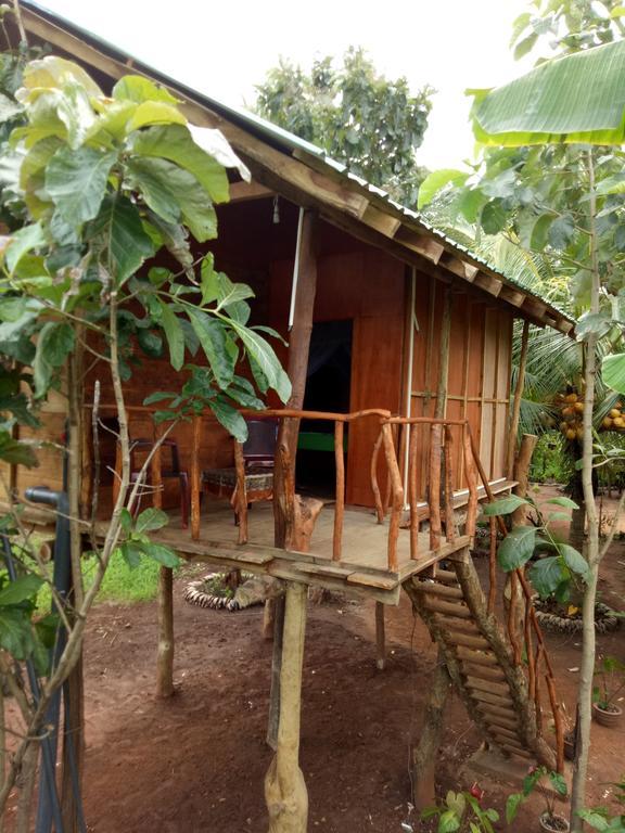 Hotel Sigiri Aliya Tree House à Sigirîya Extérieur photo