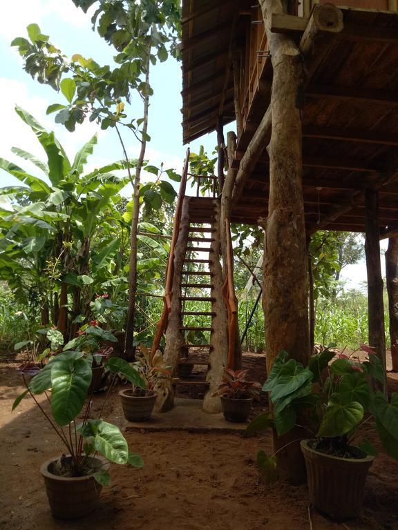 Hotel Sigiri Aliya Tree House à Sigirîya Extérieur photo