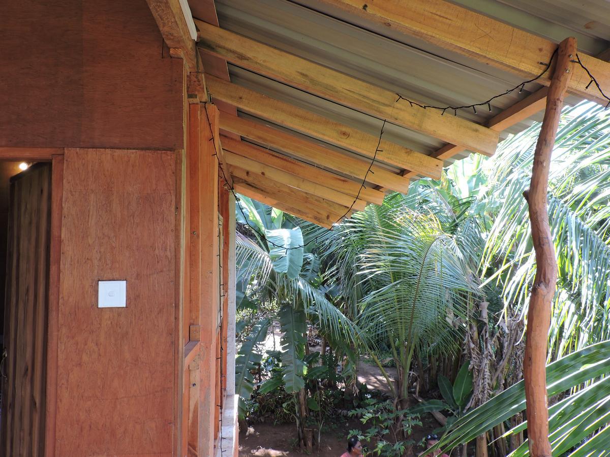 Hotel Sigiri Aliya Tree House à Sigirîya Extérieur photo