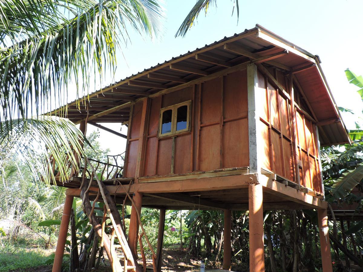 Hotel Sigiri Aliya Tree House à Sigirîya Extérieur photo