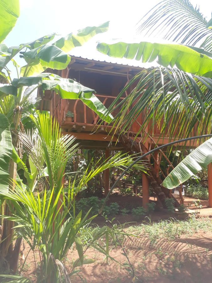 Hotel Sigiri Aliya Tree House à Sigirîya Extérieur photo