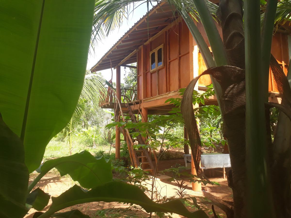 Hotel Sigiri Aliya Tree House à Sigirîya Extérieur photo