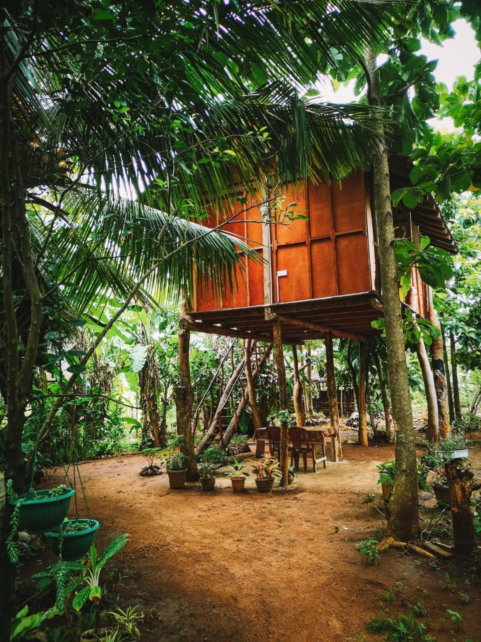 Hotel Sigiri Aliya Tree House à Sigirîya Extérieur photo